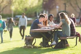 College Bootcamp